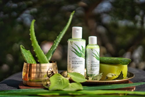 The Role of Aloe Vera in Scalp Care