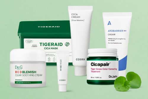 6 Best Skincare Products with Cica